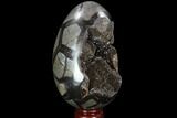 Septarian Dragon Egg Geode - Black Crystals #98880-2